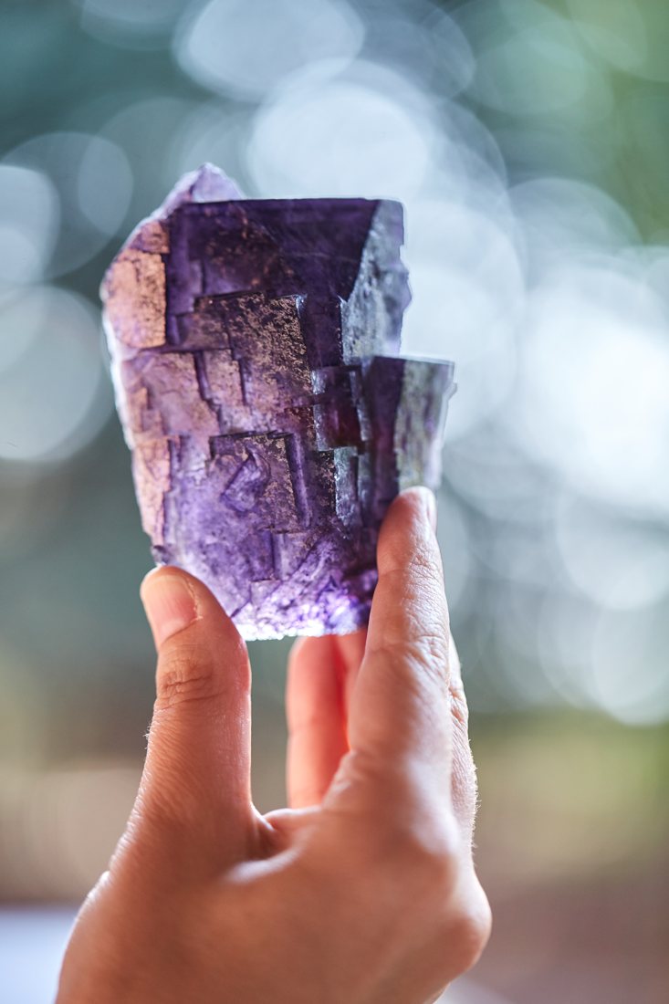 Fluorite viola controluce, i colori dei Sette Raggi del Primo Anno